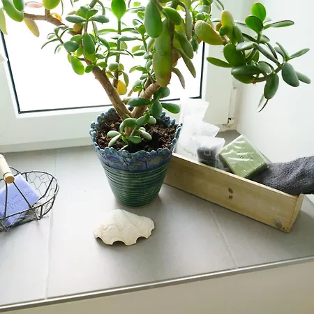 Tante Martha's * Görlitz